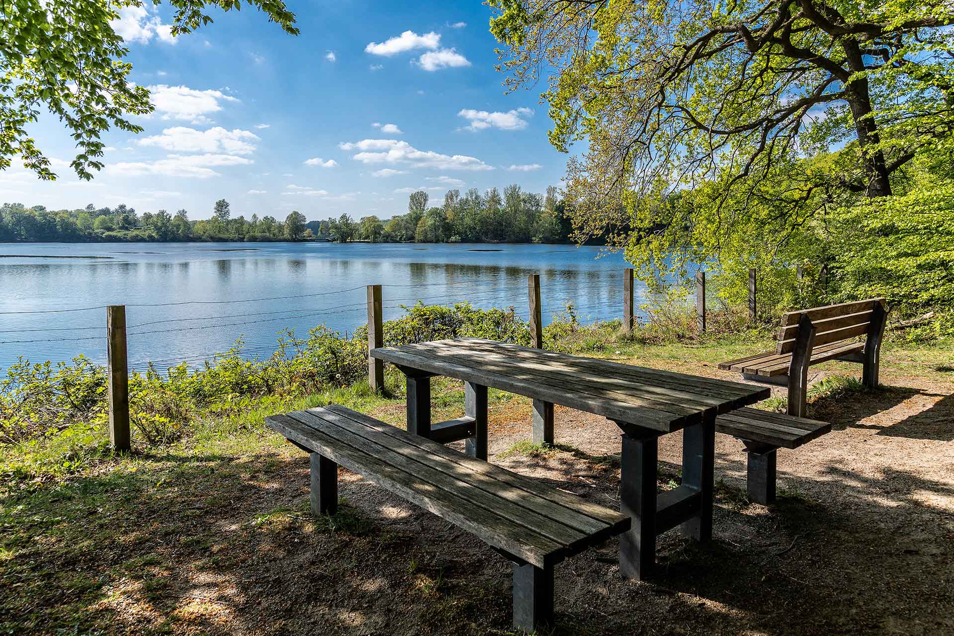 Die Waldlandschaft mit der Hohen Mark