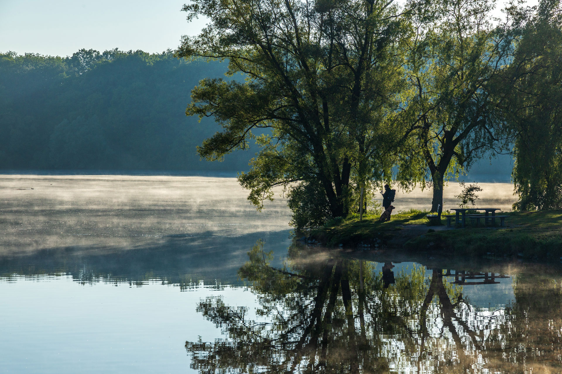 Die Waldlandschaft mit der Hohen Mark