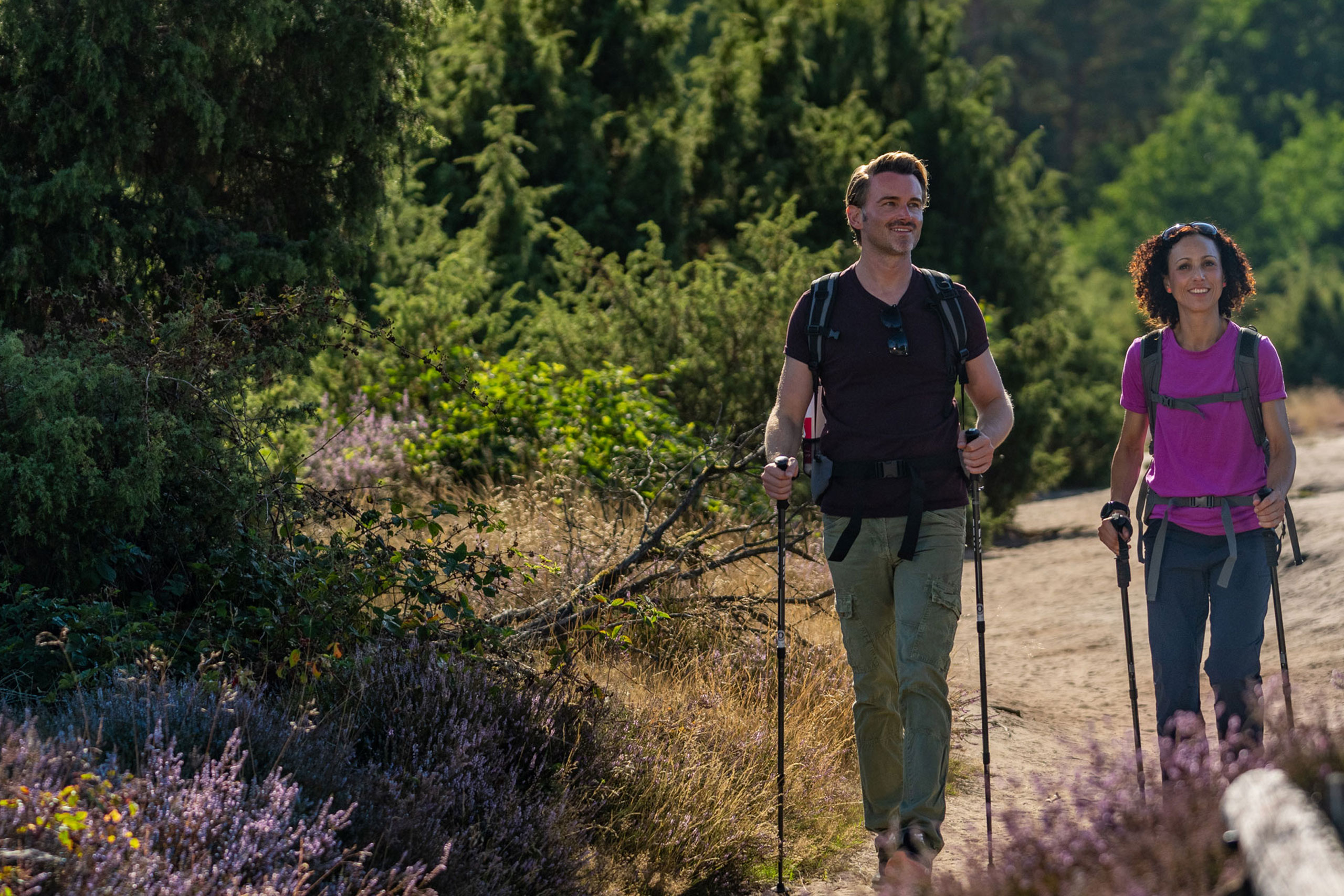 Die Waldlandschaft mit der Hohen Mark