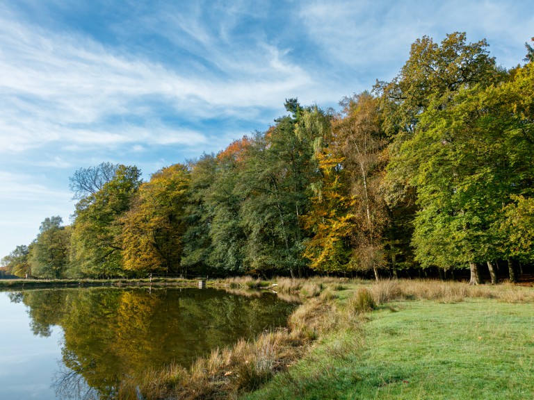 Wanderer Dülmen_Wildpark Dülmen_©René Roeterink_06_0936