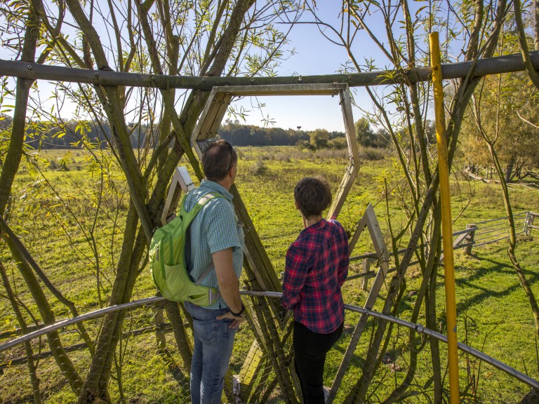 Baubotanik Aussichtsplattform Olfen ©Jochen Tack