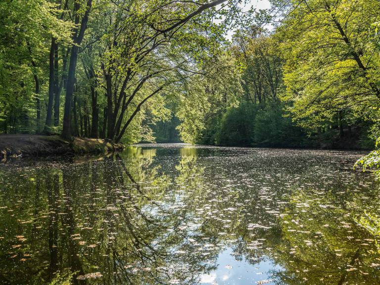 hohe_mark_steig_wasserroute_olfen-stever-01