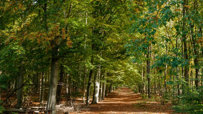 Wanderer Interkommunal_Hohe Mark_©René Roeterink_01_0846