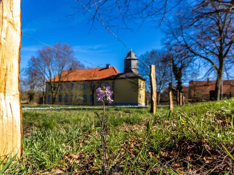 hohe_mark_steig_etappe06_haus-vogelsang-01