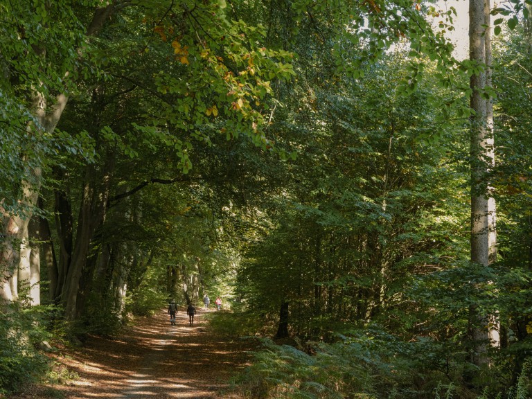 Wanderer Haltern_Hohe Mark_©René Roeterink_06_0702