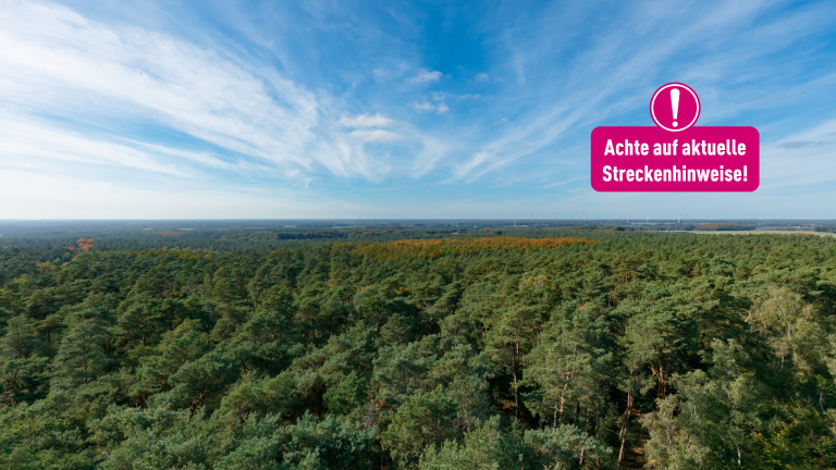 Panoramasicht_Feuerwachturm Galgenberg_RenéRoeterink (1)