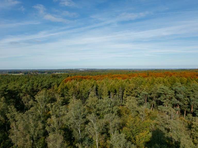 Wanderer Wild-Forest-Foresight View from the Galgenberg fire lookout tower