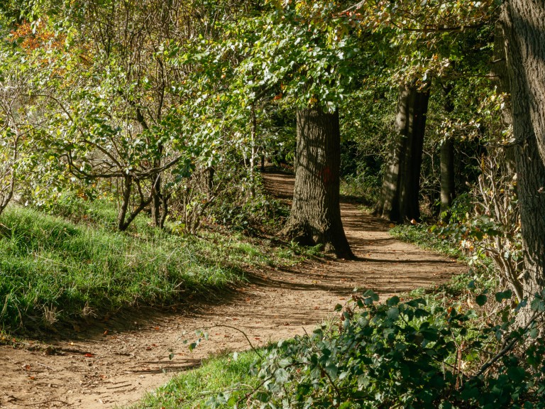 Hiking trail on the Melchenberg Reken