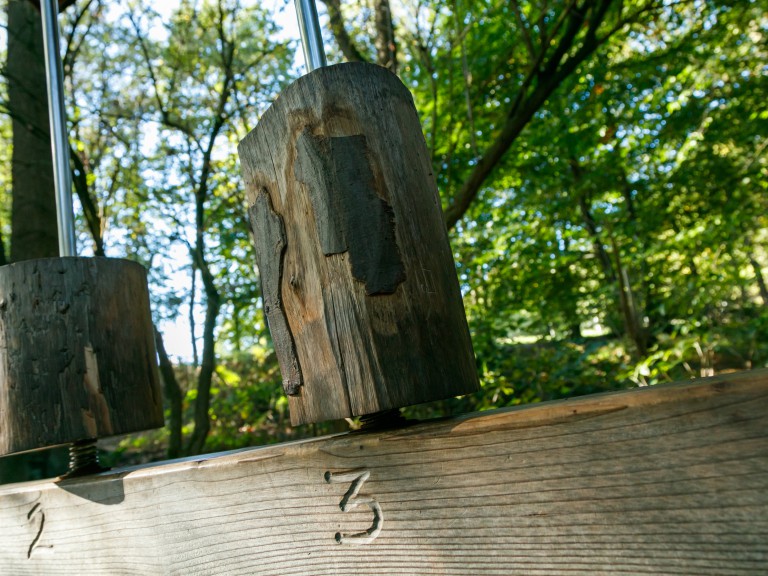 Tree species determine the forest adventure trail in Reken