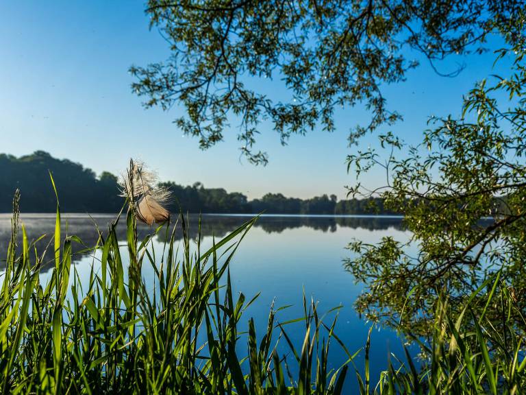 hohe_mark_steig_wasserroute_hullerner-stausee-06