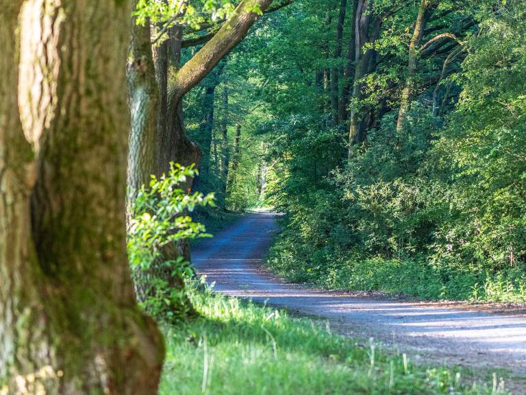 hohe_mark_steig_wasserroute_hullerner-stausee-05