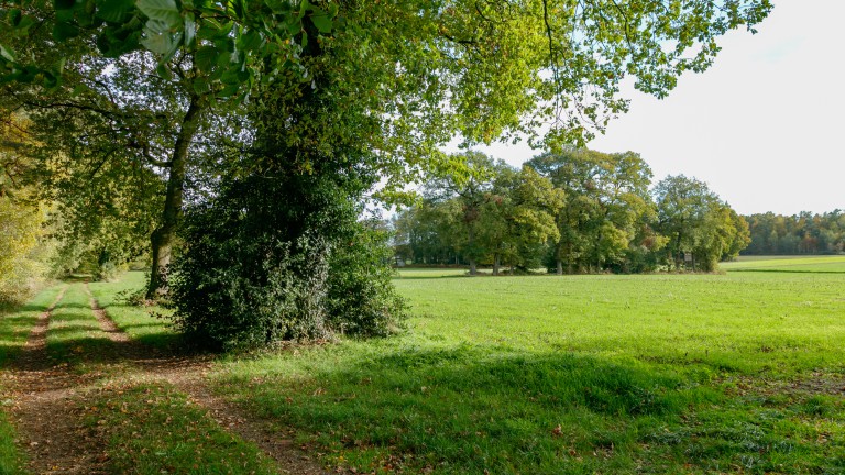 Wanderer Raesfeld_Tiergarten Schloss Raesfeld_©René Roeterink_21_1028