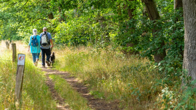 Dingdener-Heide-Wandern-NiederrheinTourismus--®PatrickGawandtka_NRT06039_lowres