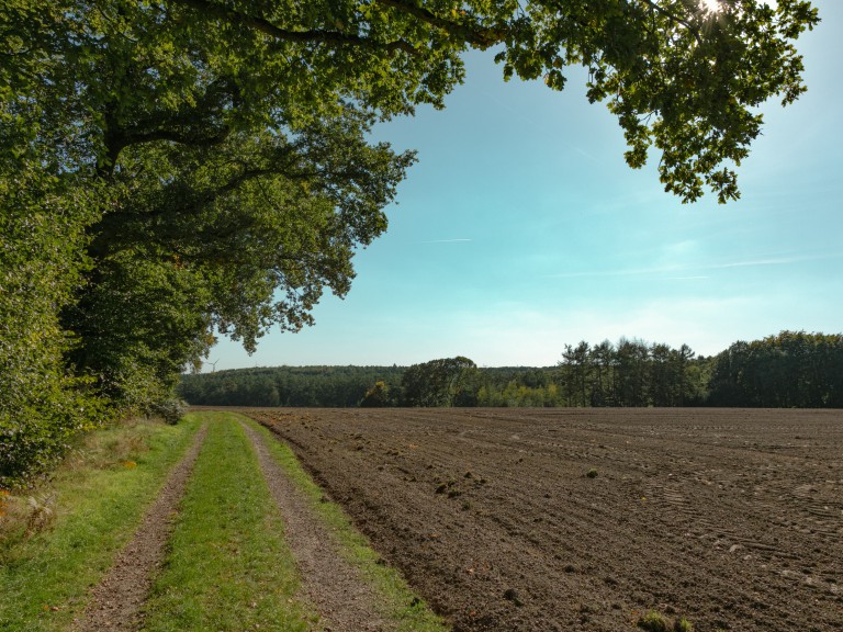 Wanderer Haltern_Hohe Mark_©René Roeterink_07_0707