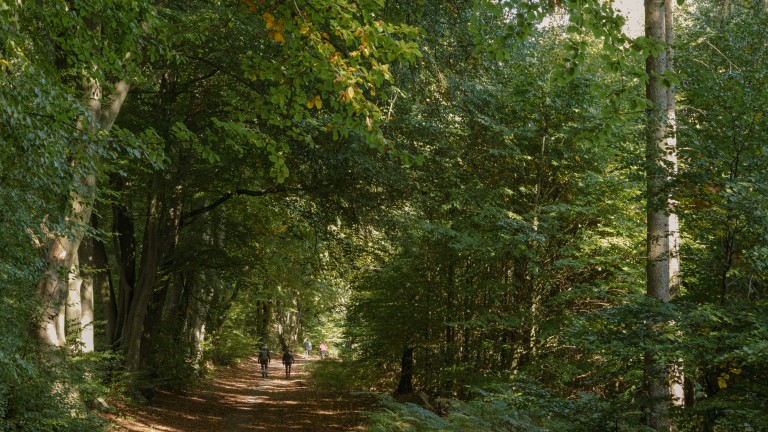 Wanderer Haltern_Hohe Mark_©René Roeterink_06_0702