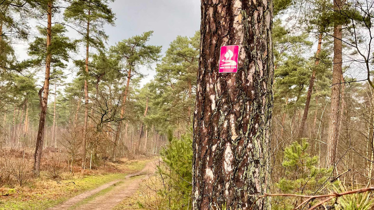 hohemarksteig_banner_historie