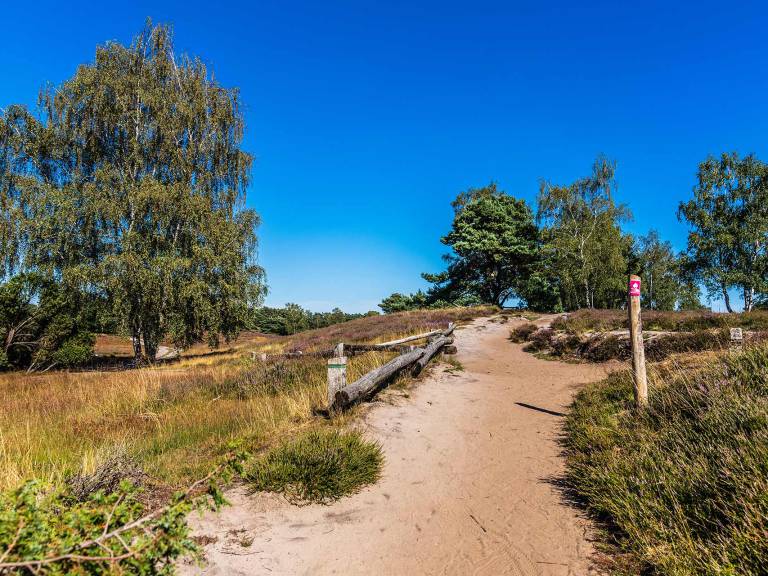 hohe_mark_steig_etappe05_westruper-heide-01