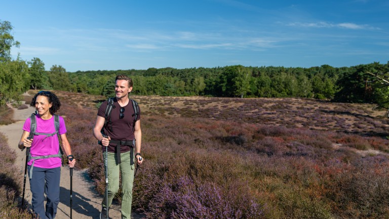 WestruperHeide-NatruparkHoheMark-┬®PatrickGawandtka-SA103682_klein