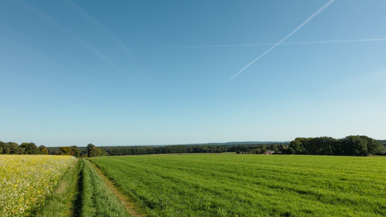 Wanderer Haltern_Hohe Mark_©René Roeterink_13_0726