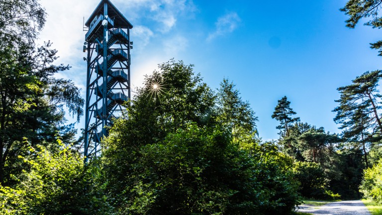 Rennberg_Fire Watchtower 01_HMSE5_2020_Stefan Broeker IMG_0865